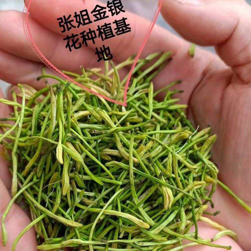 四季金银花茶花，无农药无硫，品质保证产地直发，一手货源