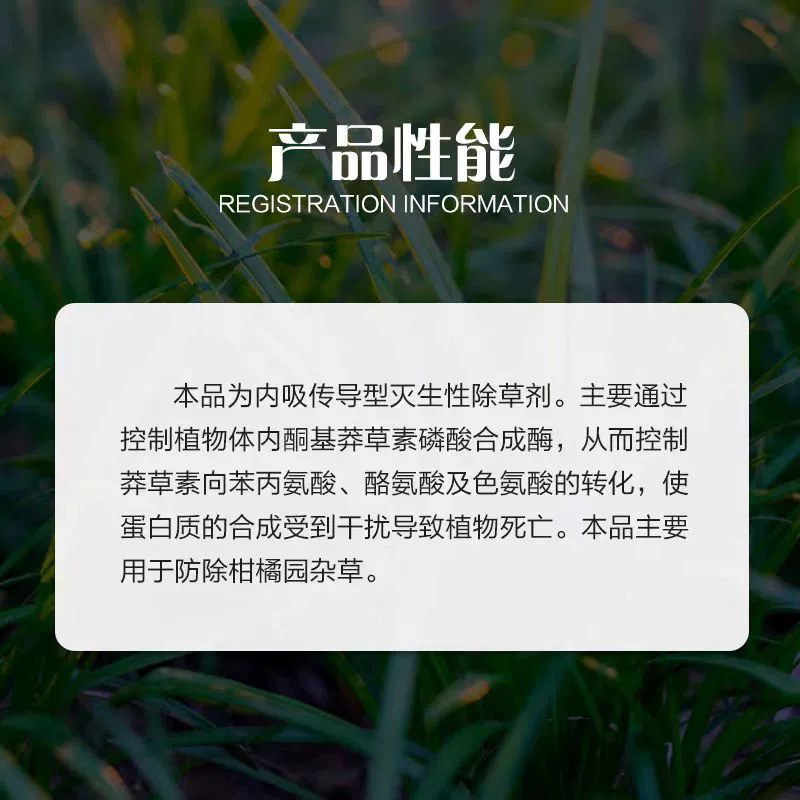 一七锄75.7%草甘膦铵盐柑橘树杂草内吸传导灭生性除草剂