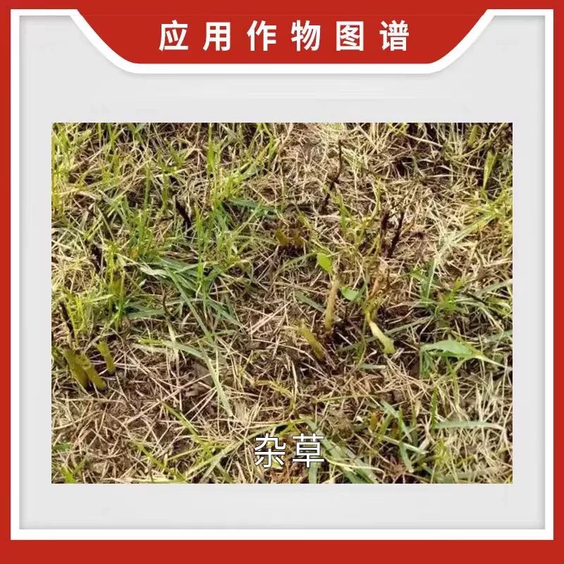 一七锄75.7%草甘膦铵盐柑橘树杂草内吸传导灭生性除草剂