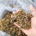 A正宗江西客家梅干菜，干净无沙，需要的老板可以联系我。