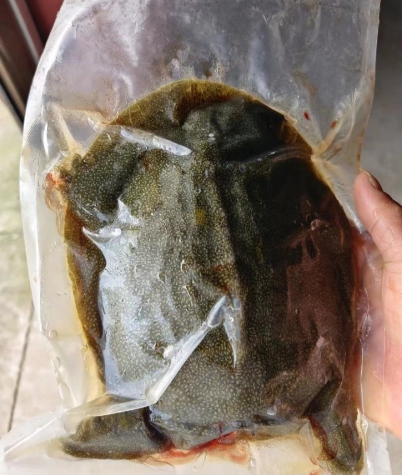 速冻生态甲鱼全国发货包邮欢迎来电品质保证诚信经营