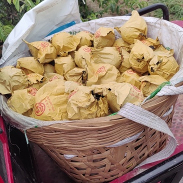脆冠梨细嫩化渣，口感甜大量上市了