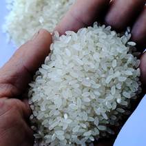 长期销售农家新鲜大米地道农家新米品质为上诚信为本