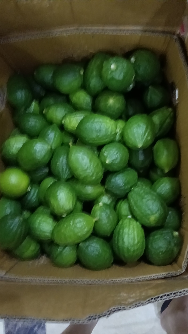 新鲜广东香水柠檬，酸甜多汁，健康美味！
