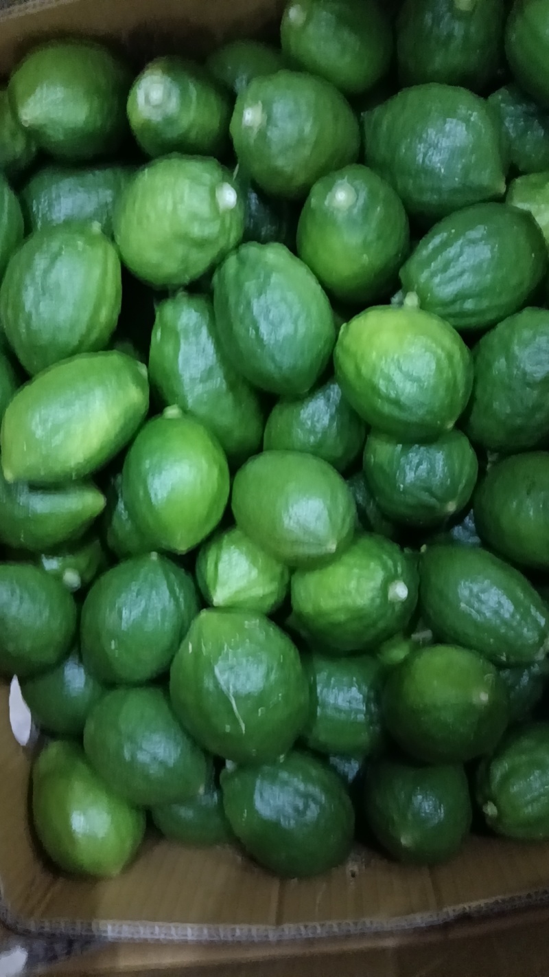 新鲜广东香水柠檬，酸甜多汁，健康美味！