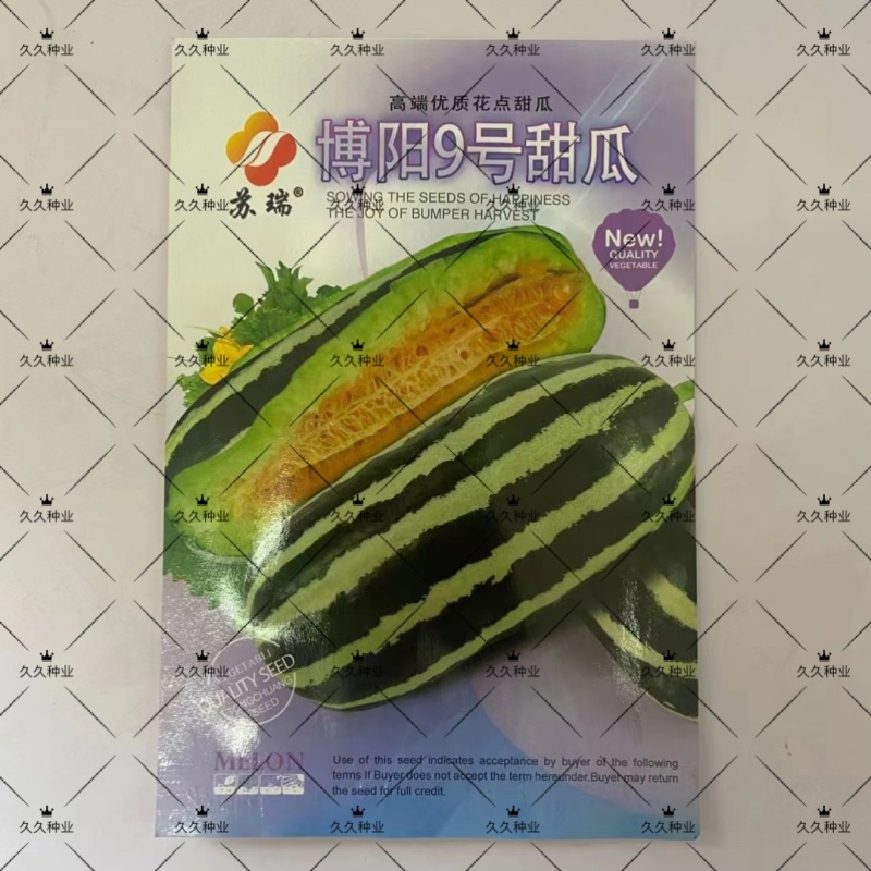 苏瑞博阳9号甜瓜种子博洋甜瓜薄皮超甜花皮香瓜种籽