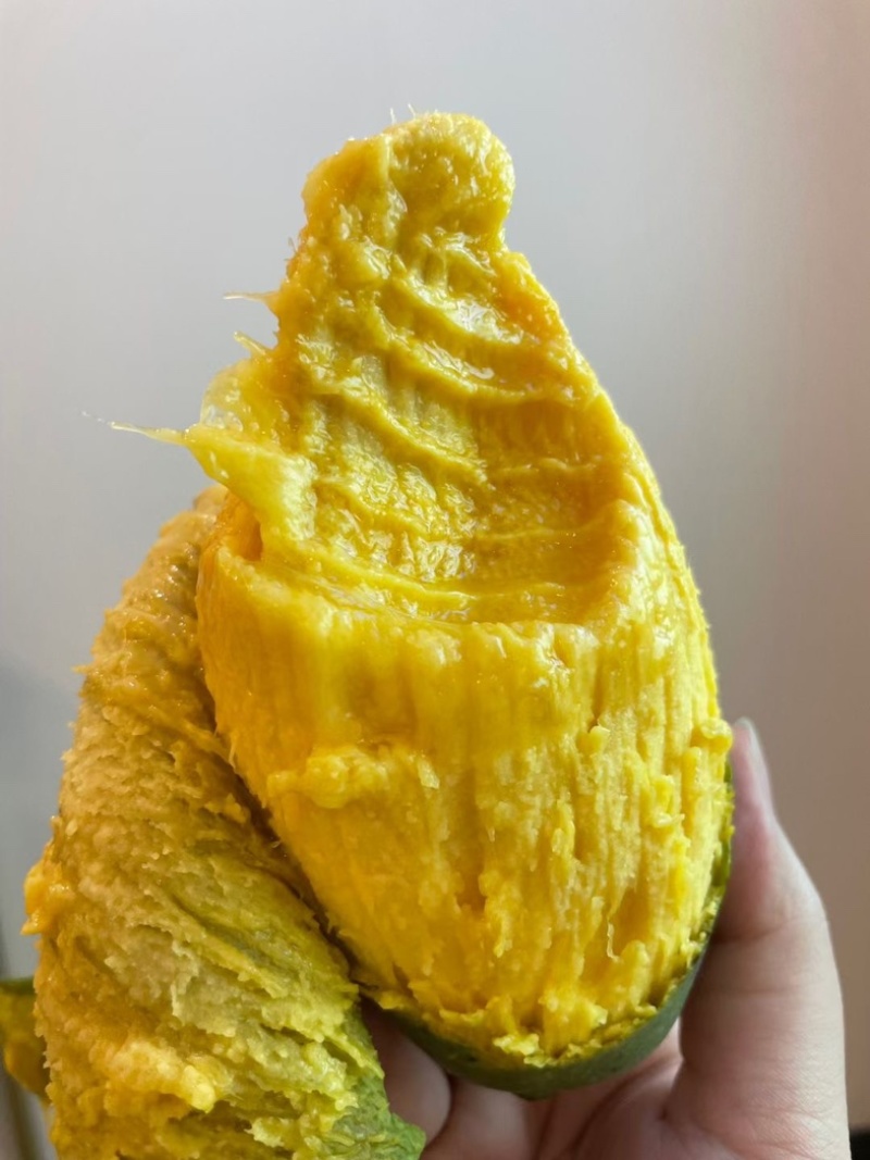 广西田东桂七芒果大量上市，产地代办，代发货