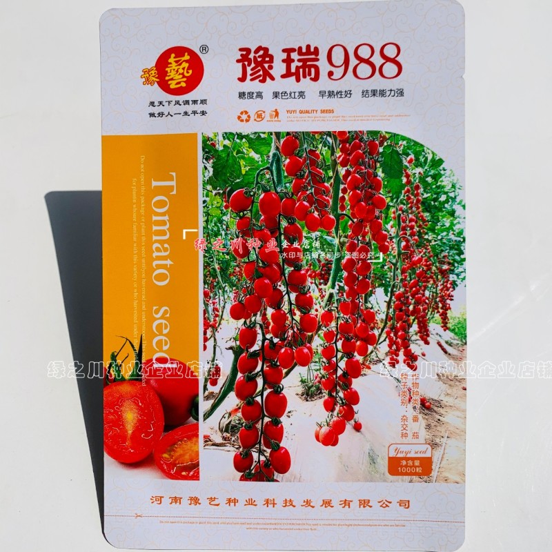 豫艺豫瑞988樱桃番茄种子高糖串收圣女果水果番茄种子