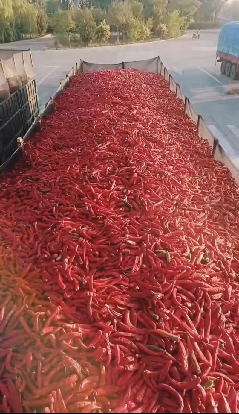 辣椒酱