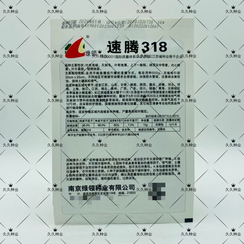 绿领速腾318快菜种子小白菜种子种籽四季疏菜快菜菜种