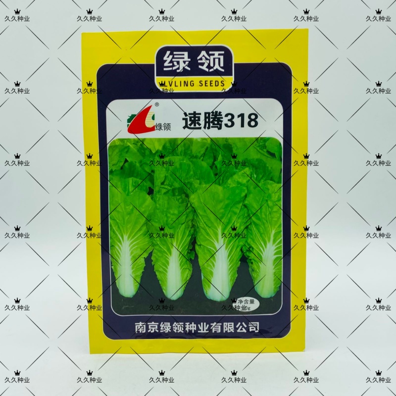 绿领速腾318快菜种子小白菜种子种籽四季疏菜快菜菜种