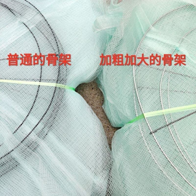 鱼笼渔网白色圆笼子捉虾鱼篓小鱼提网可折叠包邮