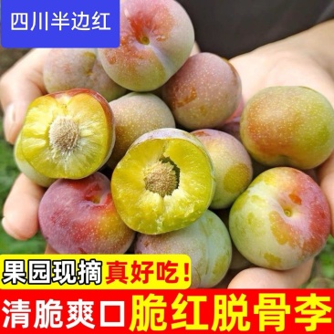 正宗四川半边红李子脱骨李茵红李对接各大电商平台一手货源！
