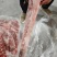 中方五花肉