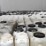 革命圣地，延安洋槐蜜，源头供应，货源充足，可长期合作，非