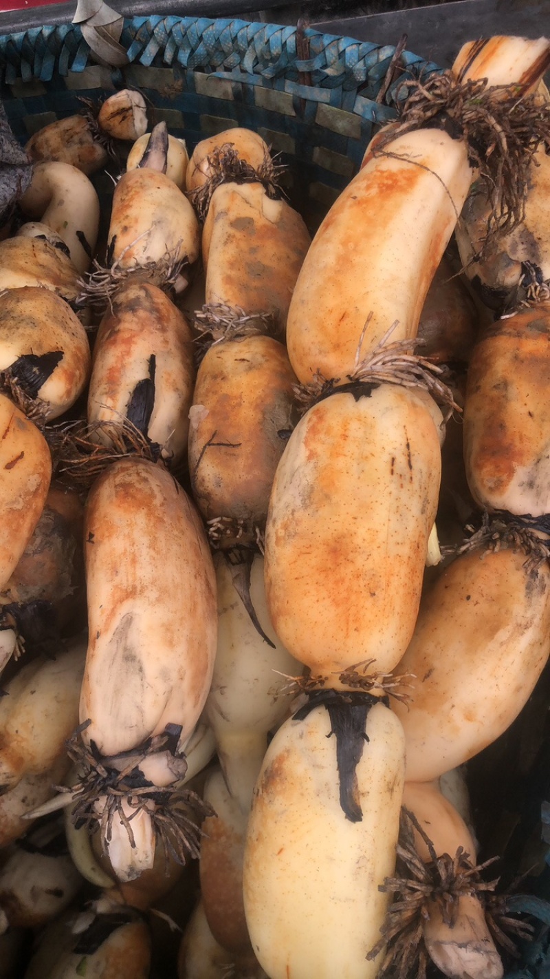 莲藕粉糯香甜，有需要联系