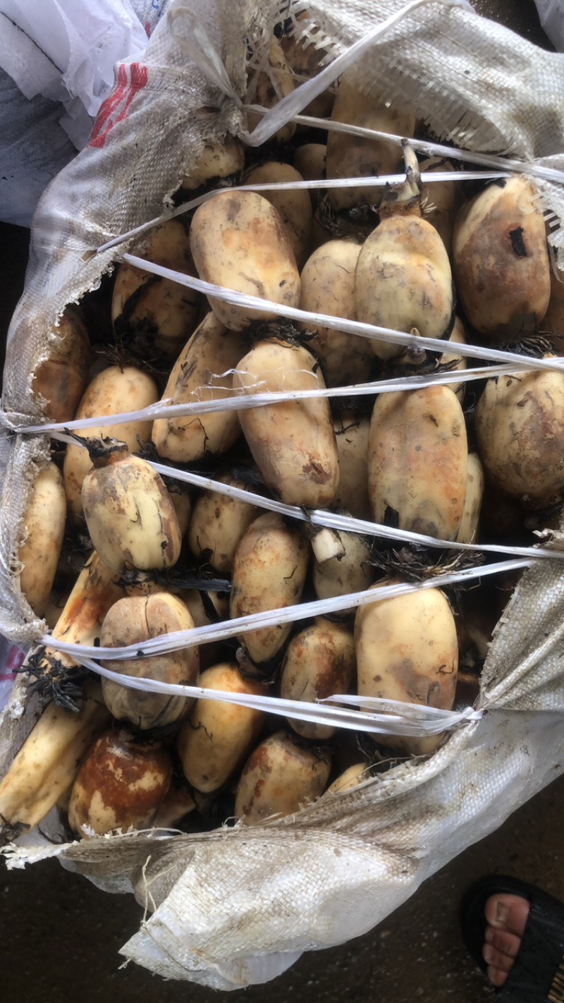 莲藕粉糯香甜，有需要联系