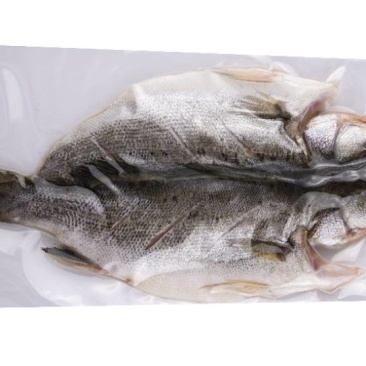 海鲈鱼500g