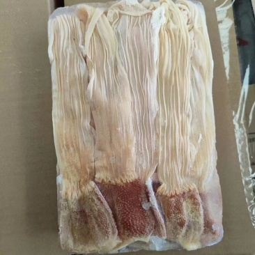 鸭食带/鸭食管