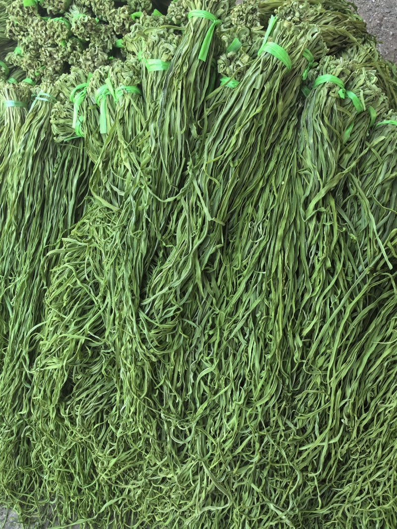 {推荐}云南贡菜品质保证货源充足欢迎来电咨询