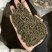 吴茱萸保庆药业批发吴茱萸实物拍摄发货如图小花吴茱萸