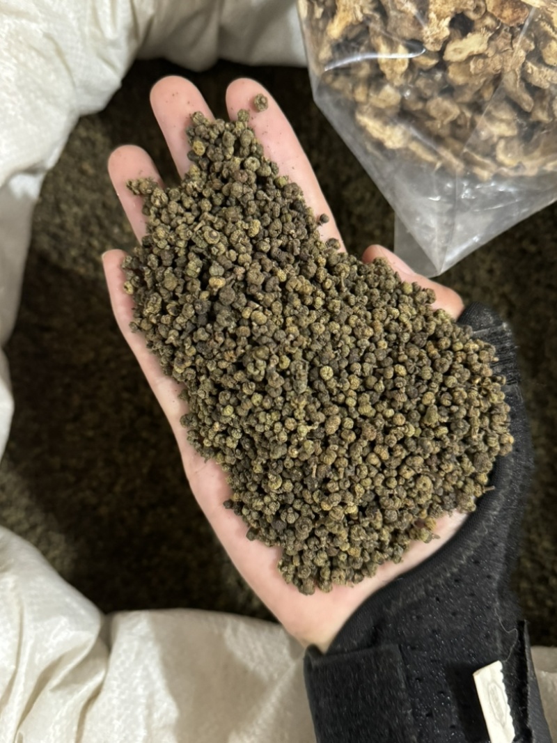 吴茱萸保庆药业批发吴茱萸实物拍摄发货如图小花吴茱萸