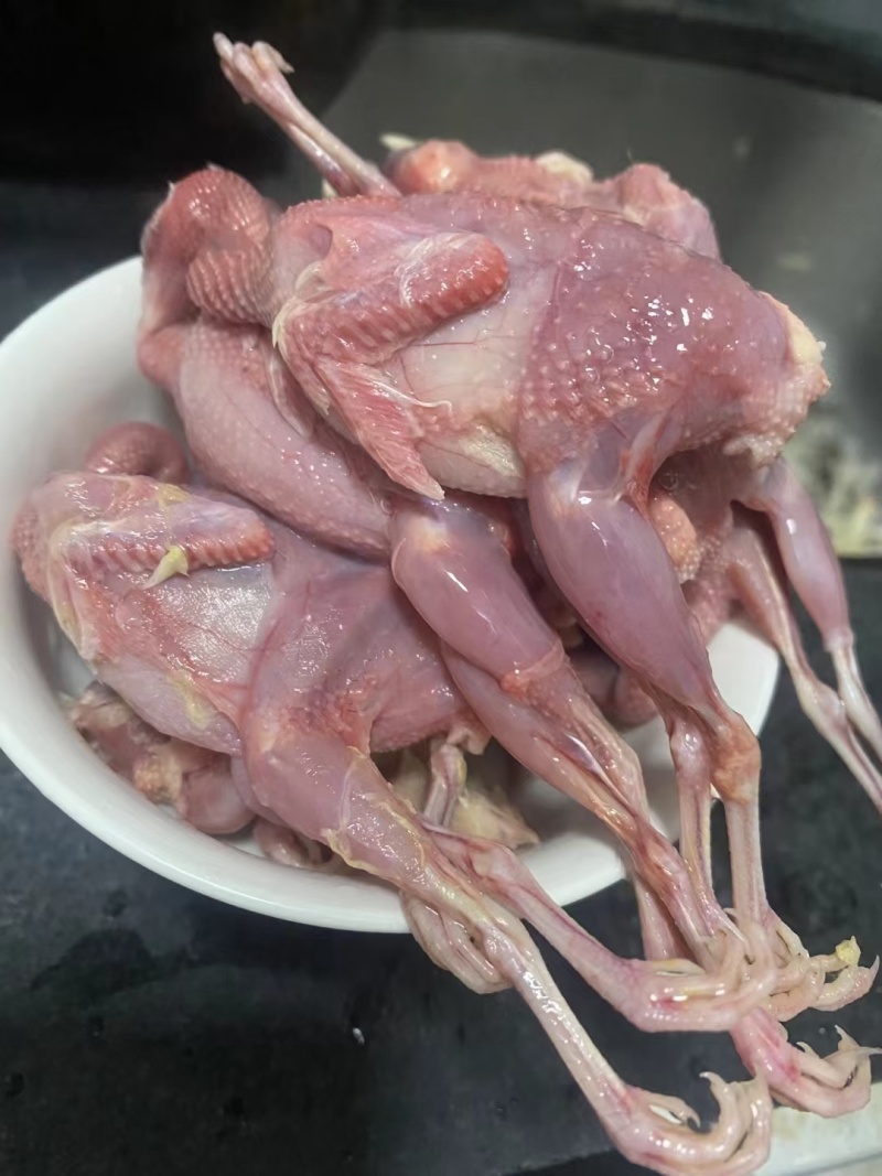芦丁鸡芦丁鸡快递全国各地水产冷链物流全国各地