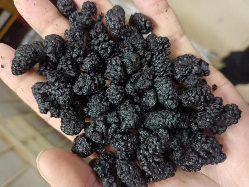 新疆野生特级桑葚干黑桑葚黑桑椹干免洗无沙果干泡水