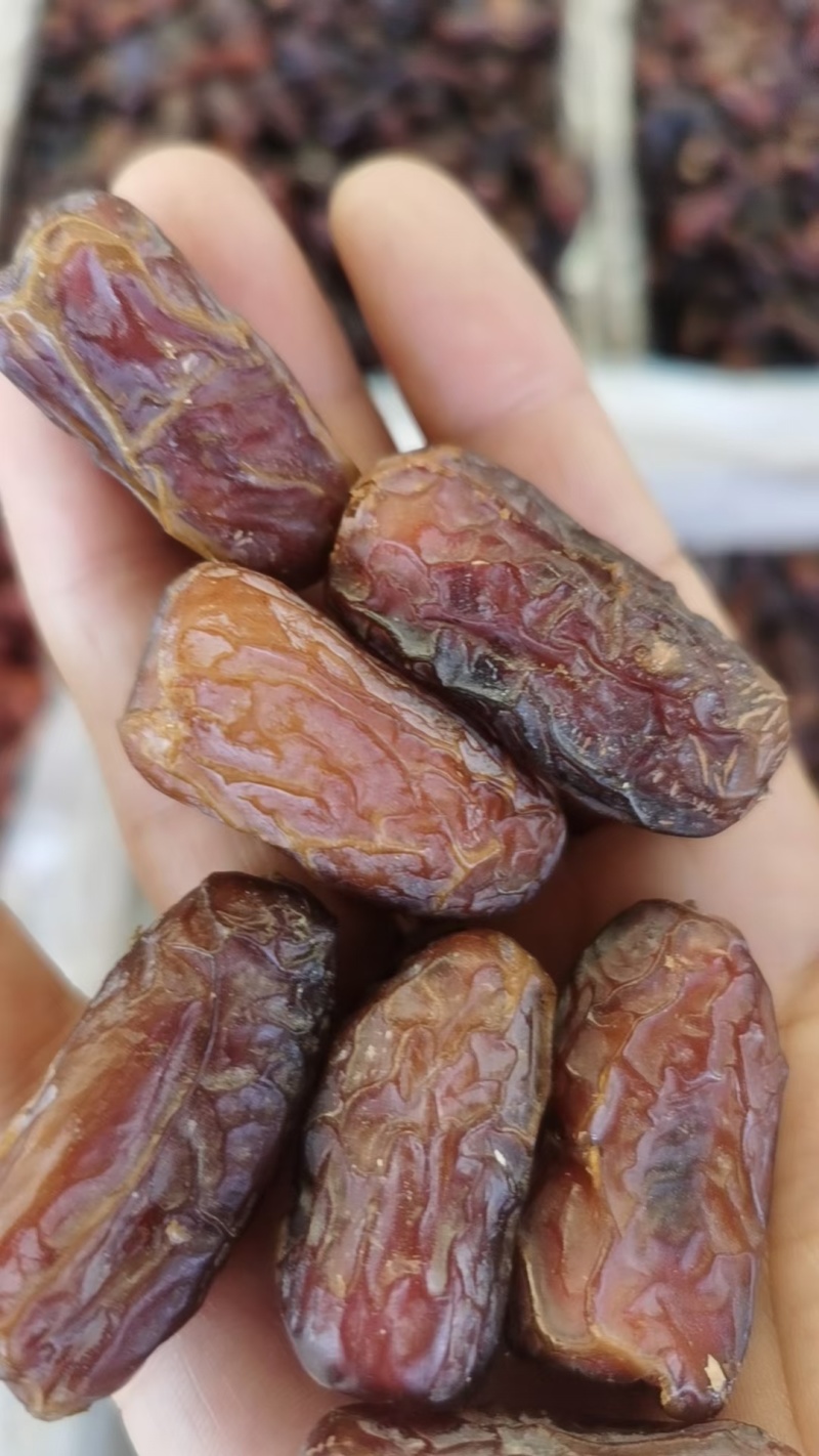 精品椰枣