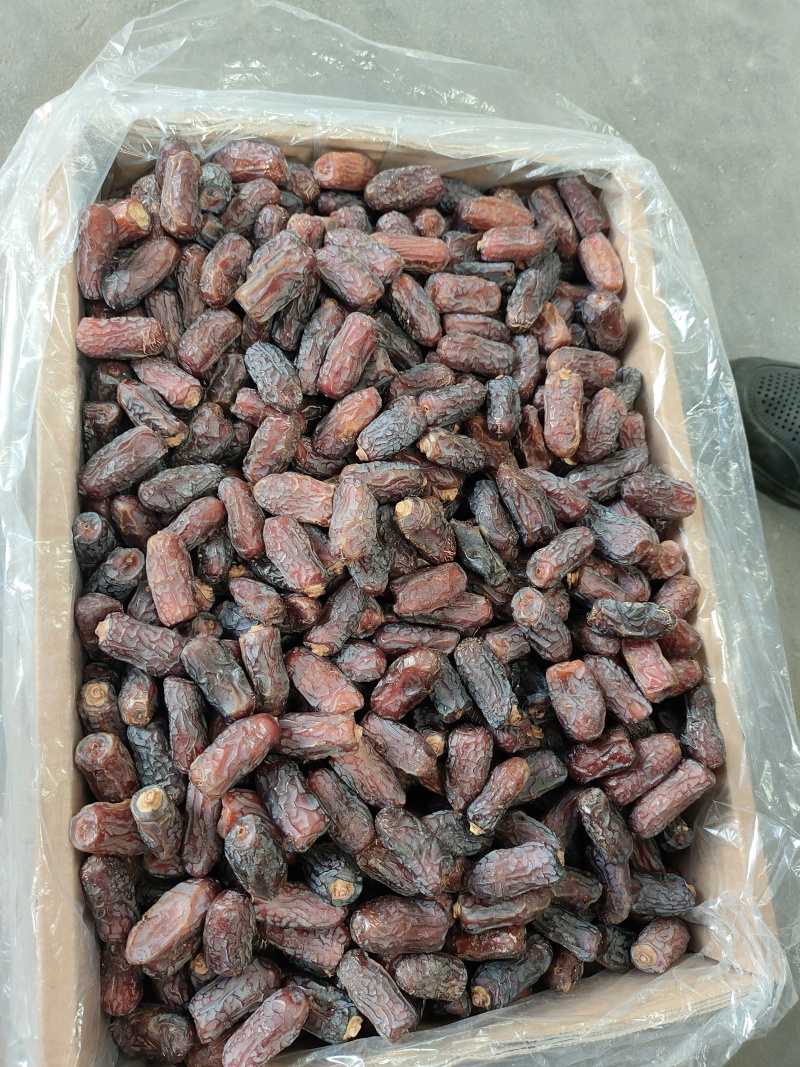 精品椰枣