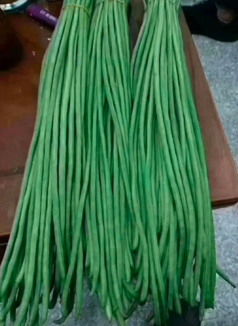 陕西汉中青豆角大量上市，产地直发，一手货源，质量保证