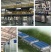 红满天含氨基酸水溶肥提质增产快速膨大果实免费技术指导
