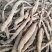 土太子参产地直发品质好需要的电话联系