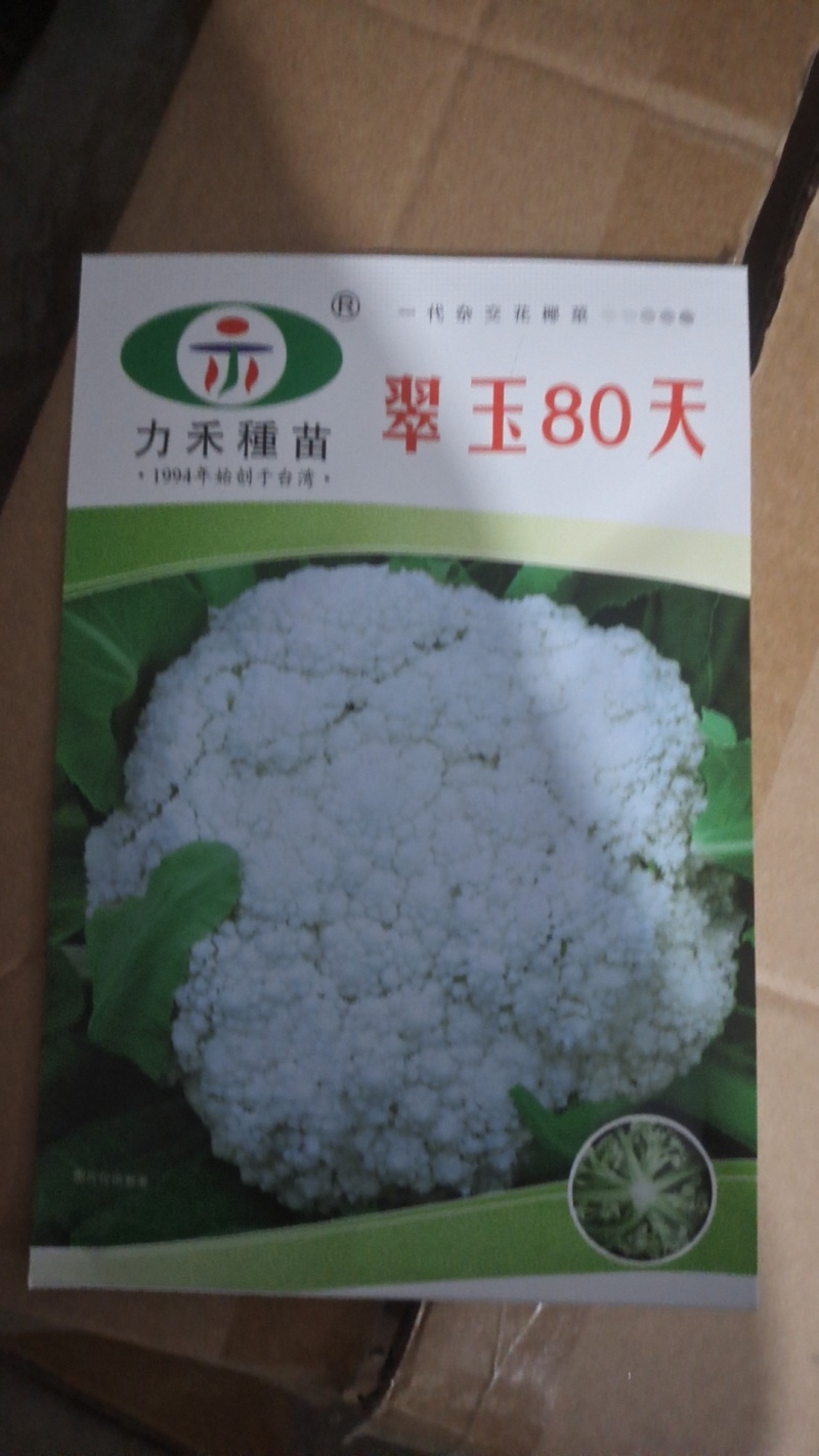 有机菜花苗60，65，70，80