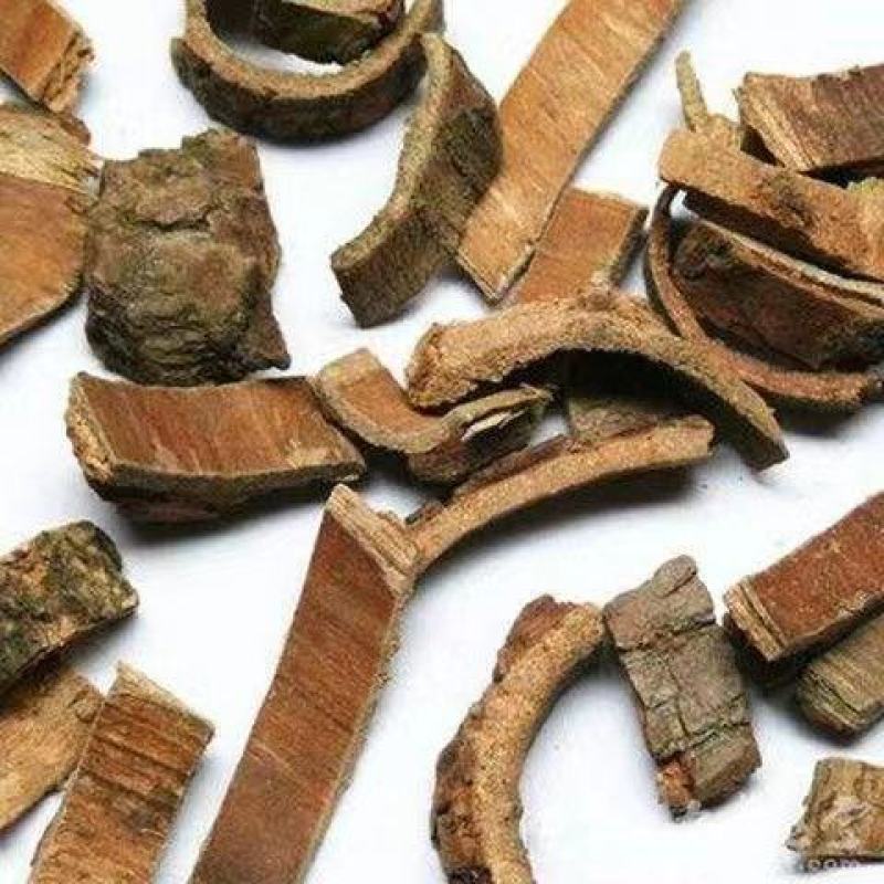 喜树皮中药材喜白皮喜树的皮