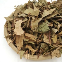 中药材葫芦茶葫芦茶金剑草龙舌广剃刀柄