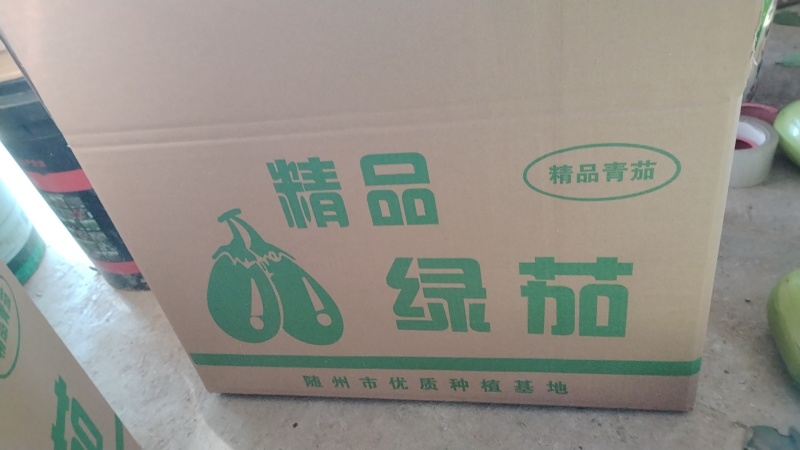 湖北随州精品绿茄子，长年有货，现摘现发，实物为准