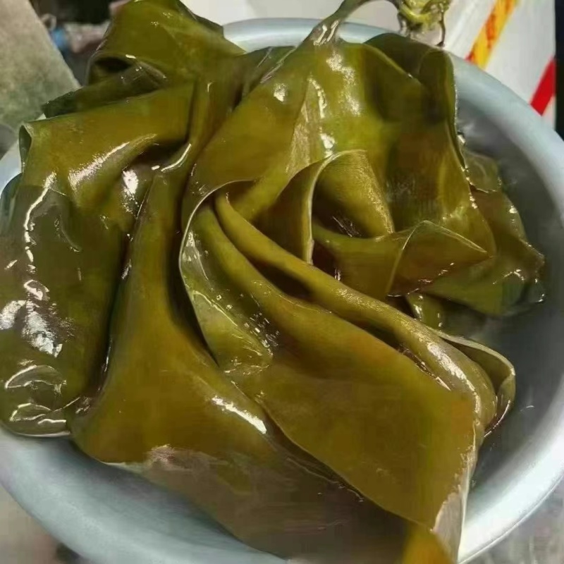 福建海带，山东海带，盐渍海带，一手货源，炖的耙