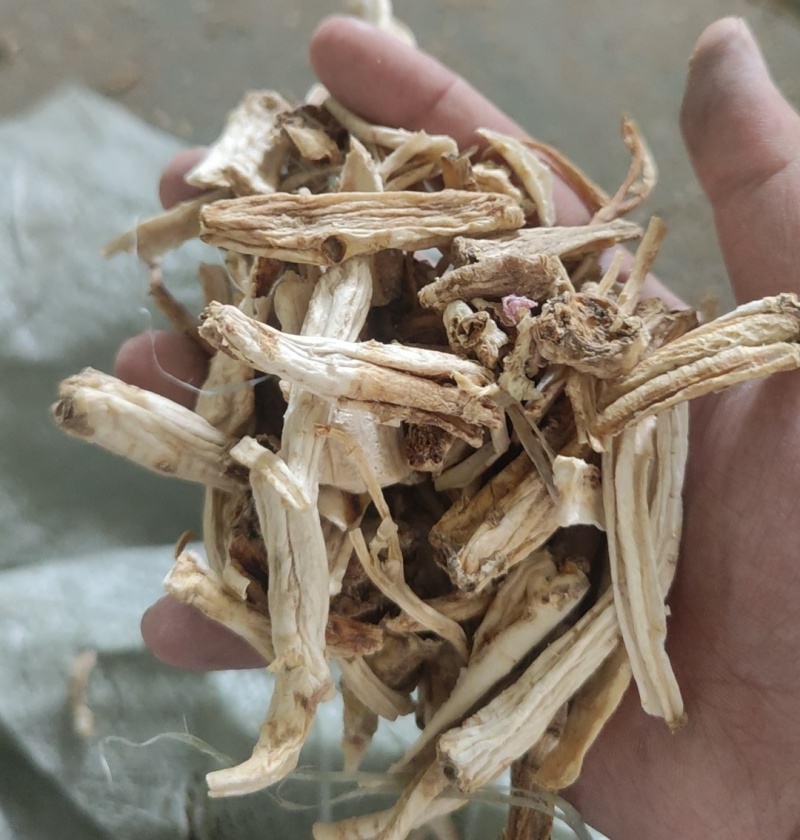 桔梗下脚料桔梗片桔梗头产地直发常年有货欢迎联系