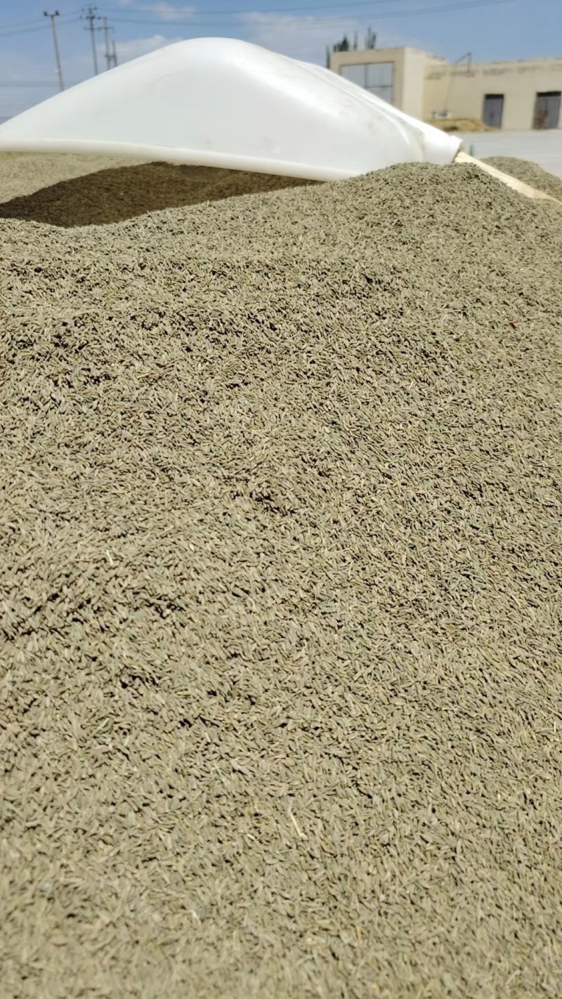 【精品】新疆孜然，源头基地一手货源，正宗味道香浓大量供应