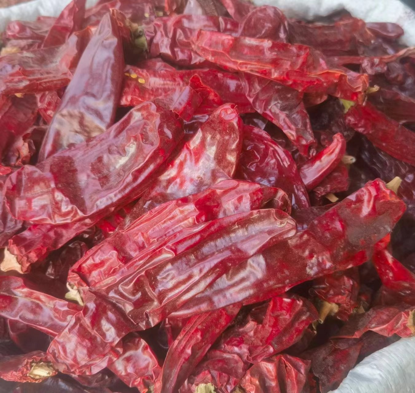 干辣椒原料特写：二荆条与子弹头混合铺满竹簸箕，色泽红亮有光泽，无霉斑碎屑，表面可见天然蜡质层