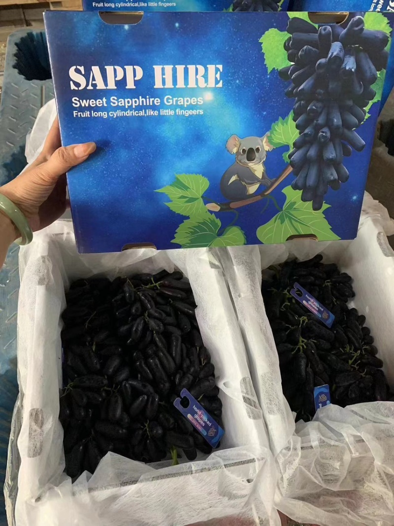 【优质】蓝宝石葡萄品质高口感好货源充足量大优惠