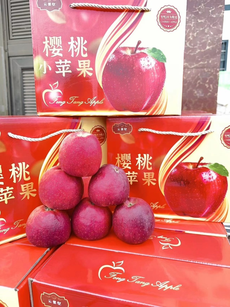 云南昭通冰糖心丑苹果！櫻桃小苹果！整车代发！团购电商！
