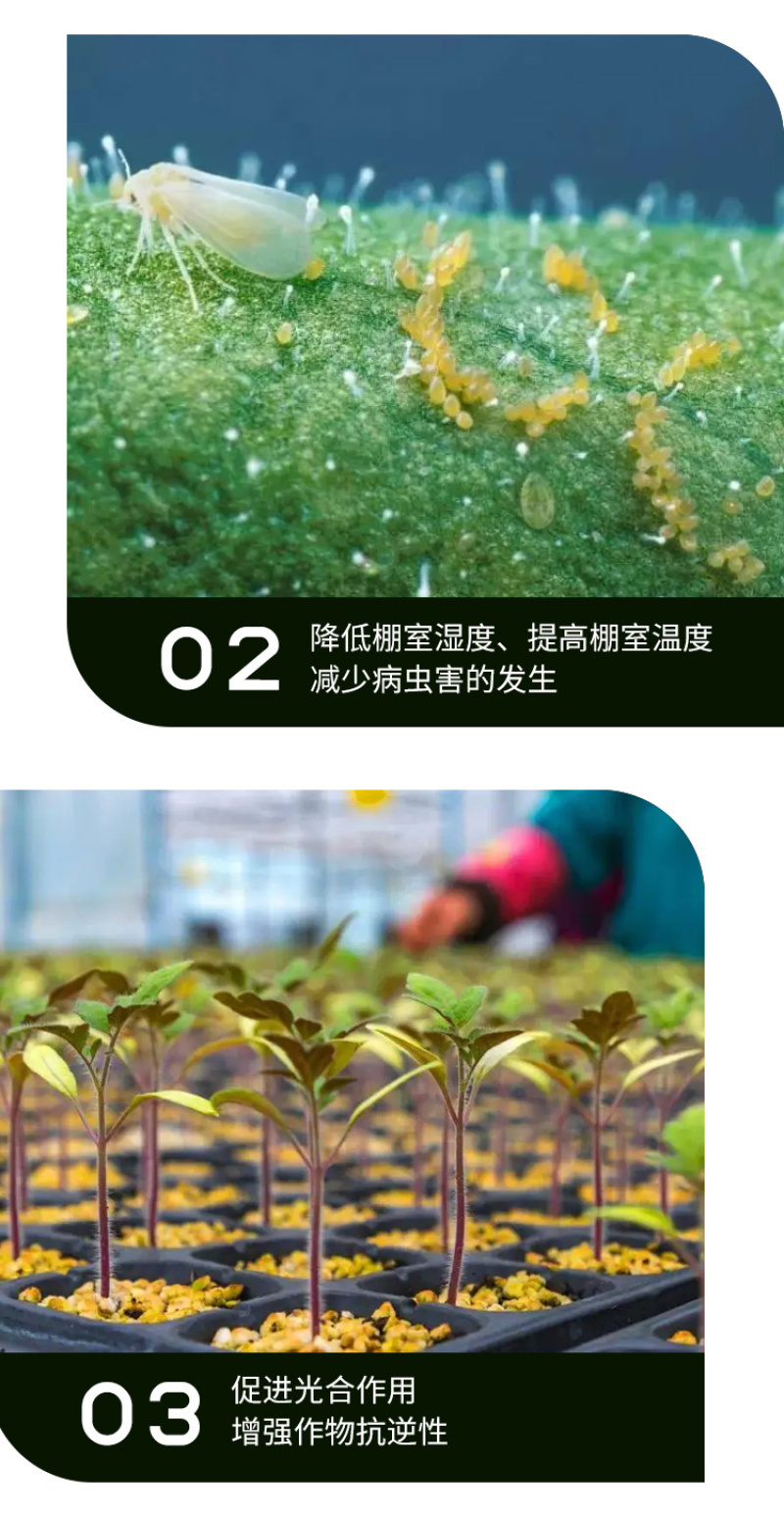 百碳翁大棚二氧化碳气肥升温增碳降湿灭菌量大从优
