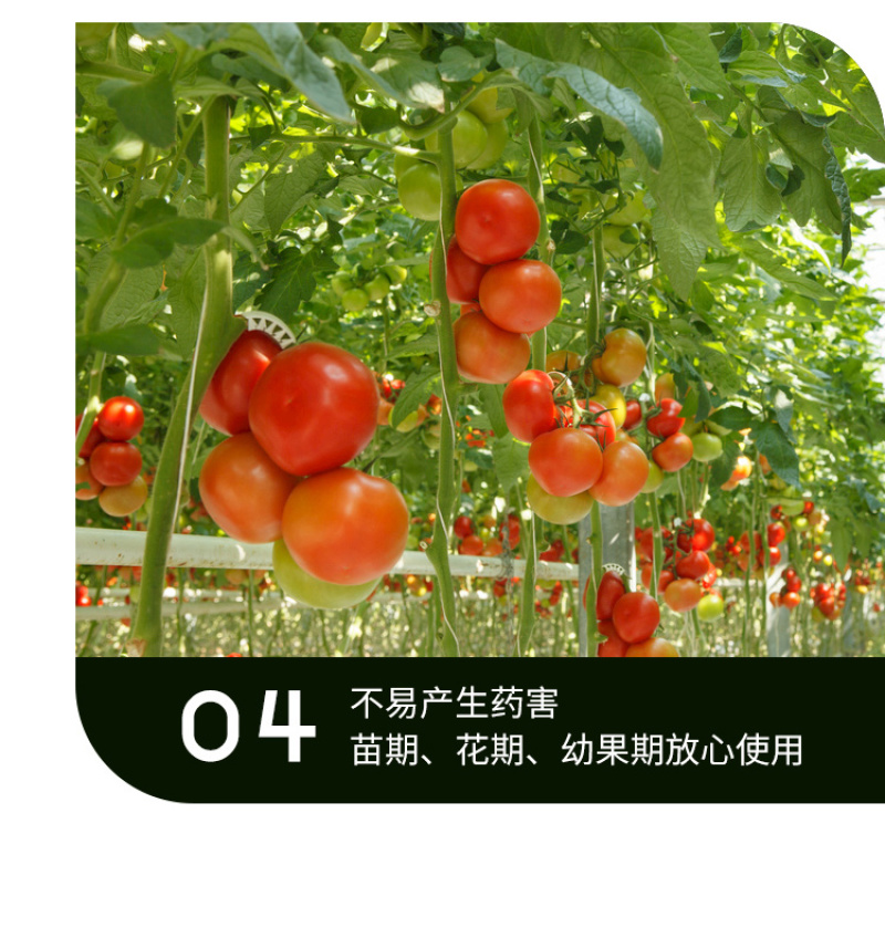 百碳翁大棚二氧化碳气肥升温增碳降湿灭菌量大从优