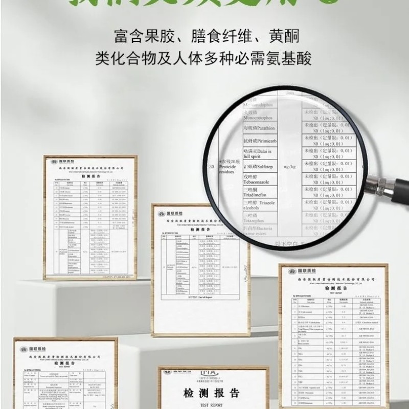 神仙豆腐精粉树叶凉粉豆腐柴臭黄荆斑鸠叶观音树叶干粉