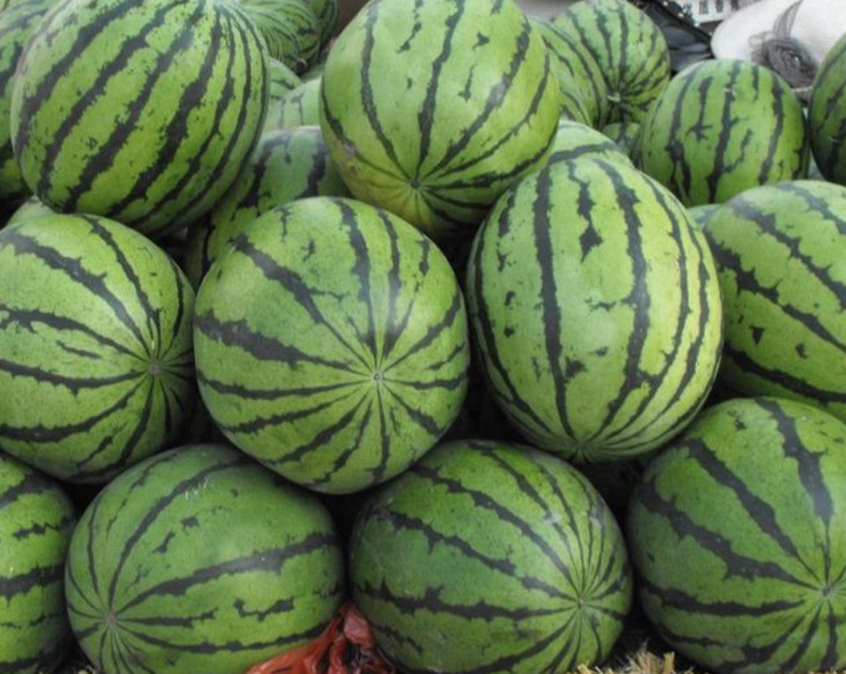 展示黑美人西瓜与麒麟西瓜在果形、果皮颜色、果肉质地等方面的直观差异 黑美人西瓜与麒麟西瓜对比图