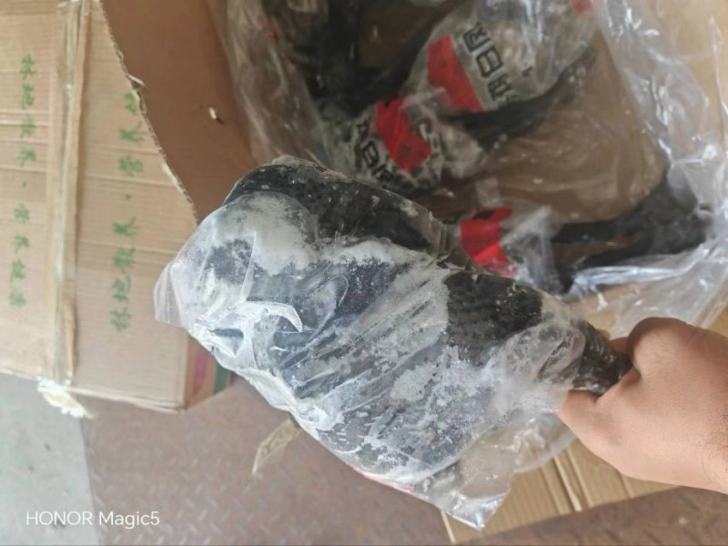 乌鸡规格齐全常年生产质量品质佳全国冷链发货