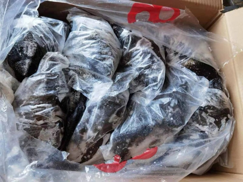 乌鸡规格齐全常年生产质量品质佳全国冷链发货