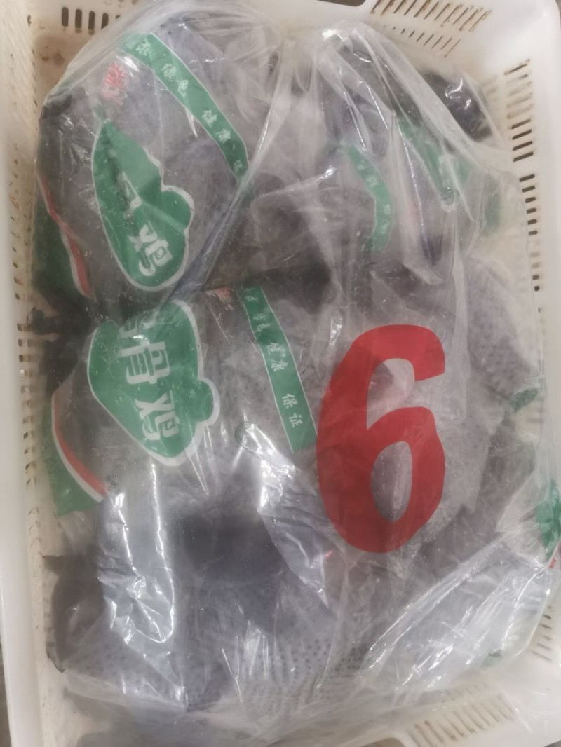 乌鸡规格齐全常年生产质量品质佳全国冷链发货